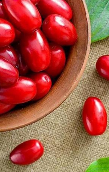 Кизиловий край - фабрика кизилу в Запоріжжі